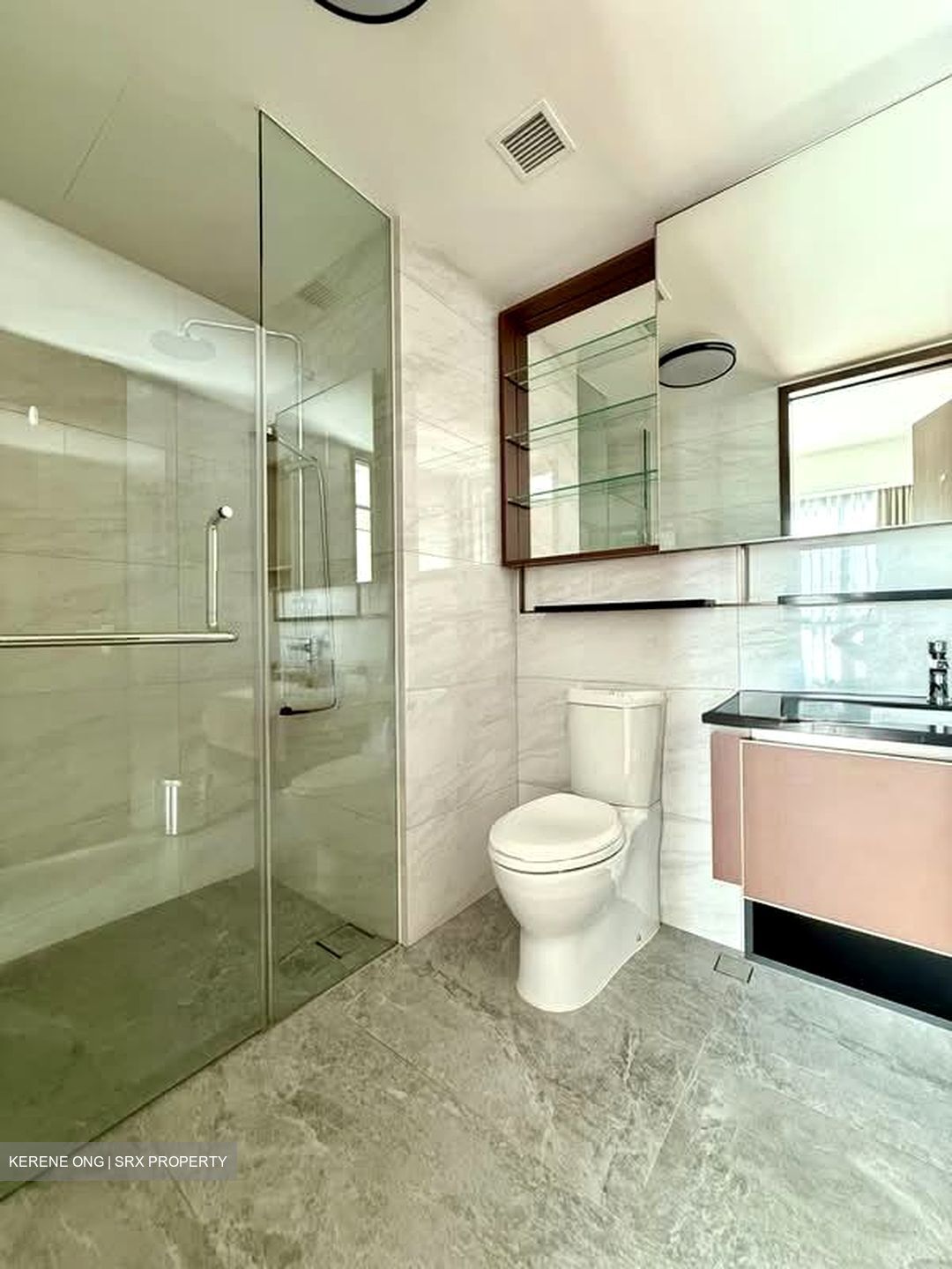 Normanton Park (D5), Apartment #576333041